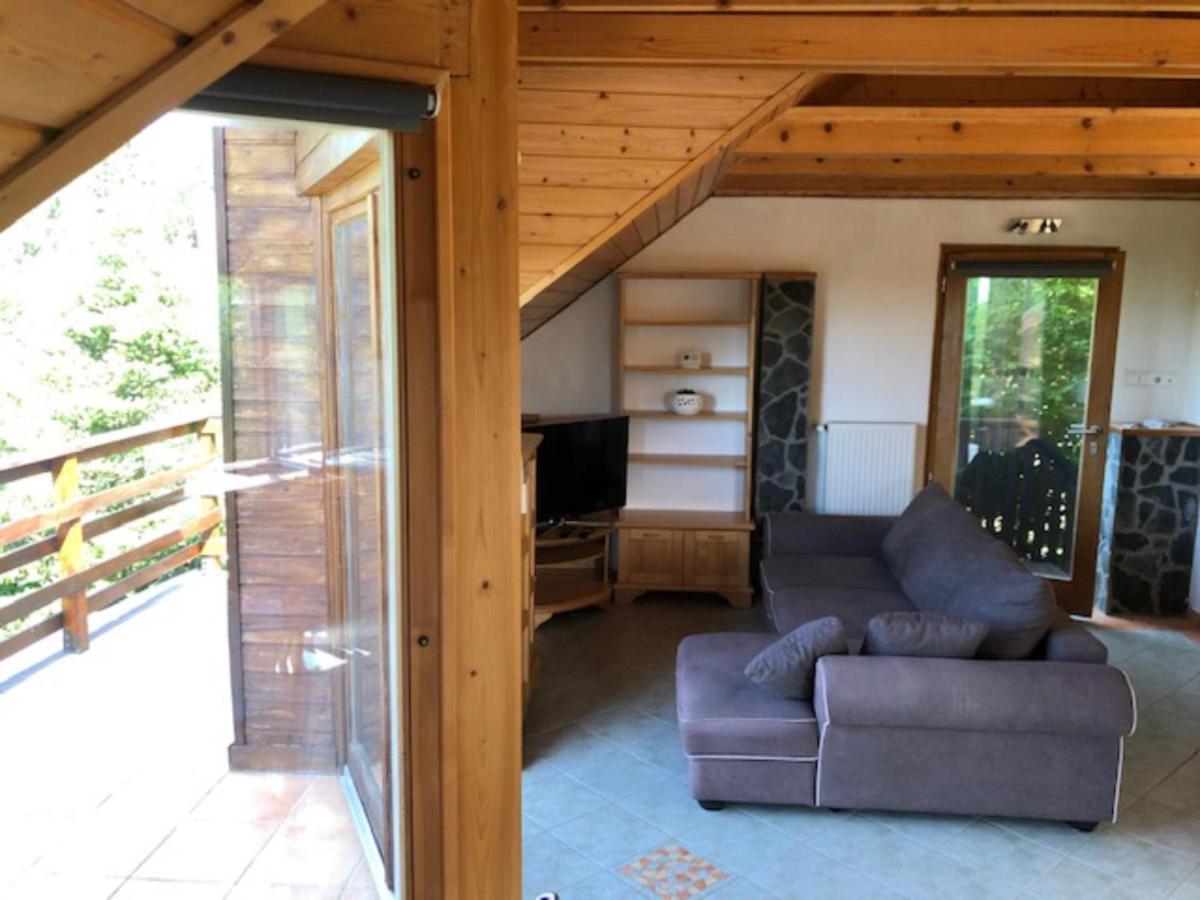 Tulipan Haz Villa Szentendre Exteriör bild