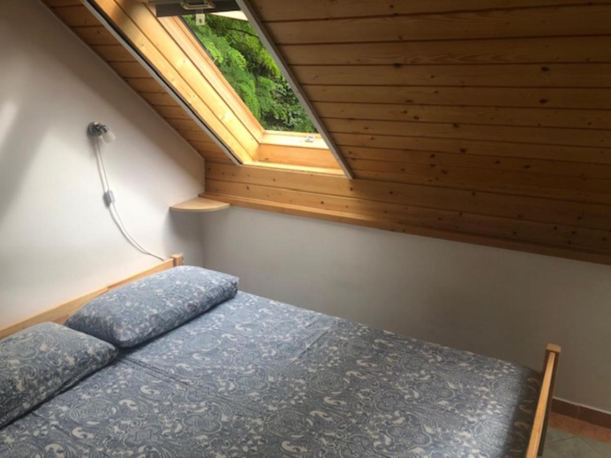 Tulipan Haz Villa Szentendre Exteriör bild