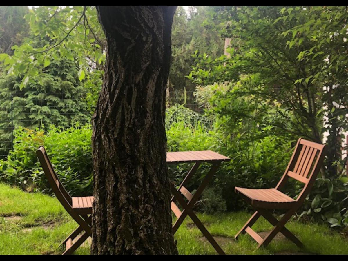 Tulipan Haz Villa Szentendre Exteriör bild