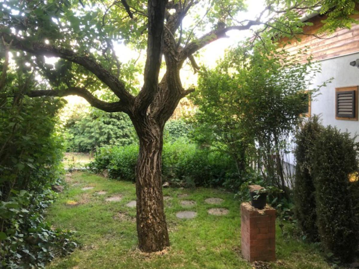 Tulipan Haz Villa Szentendre Exteriör bild