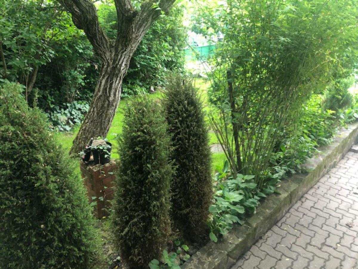 Tulipan Haz Villa Szentendre Exteriör bild