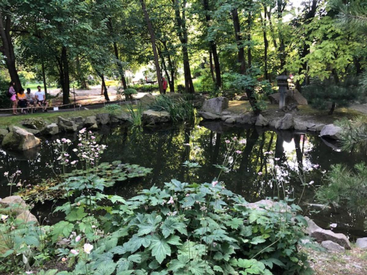 Tulipan Haz Villa Szentendre Exteriör bild