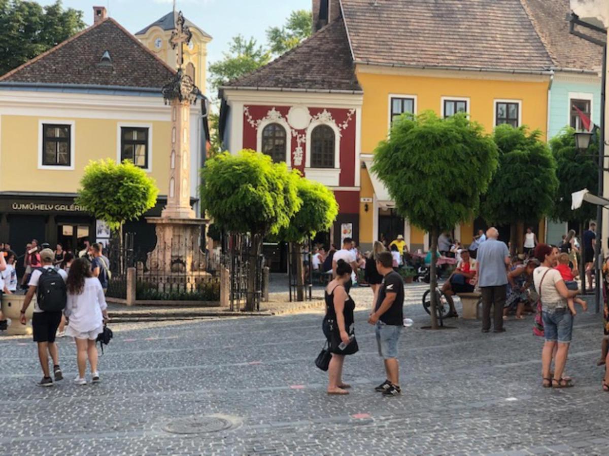 Tulipan Haz Villa Szentendre Exteriör bild