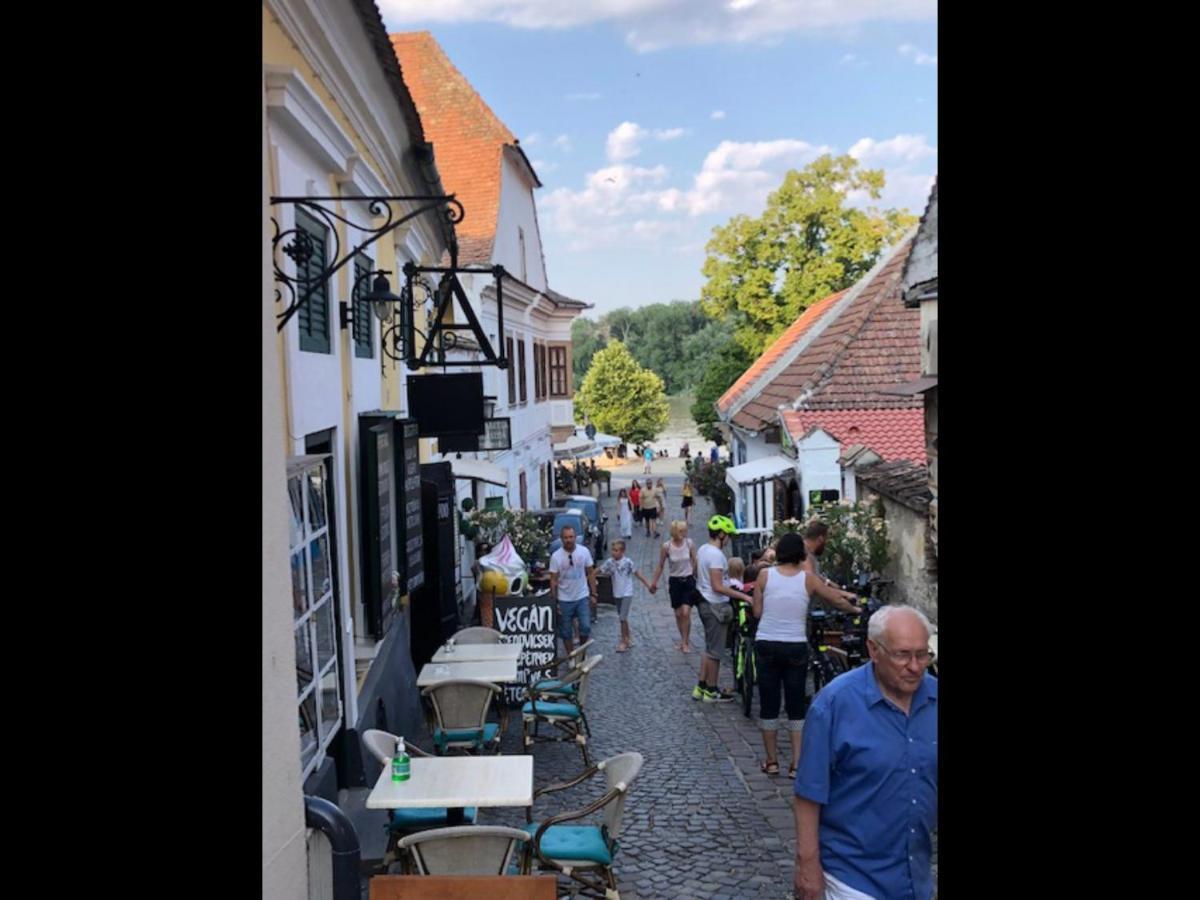 Tulipan Haz Villa Szentendre Exteriör bild