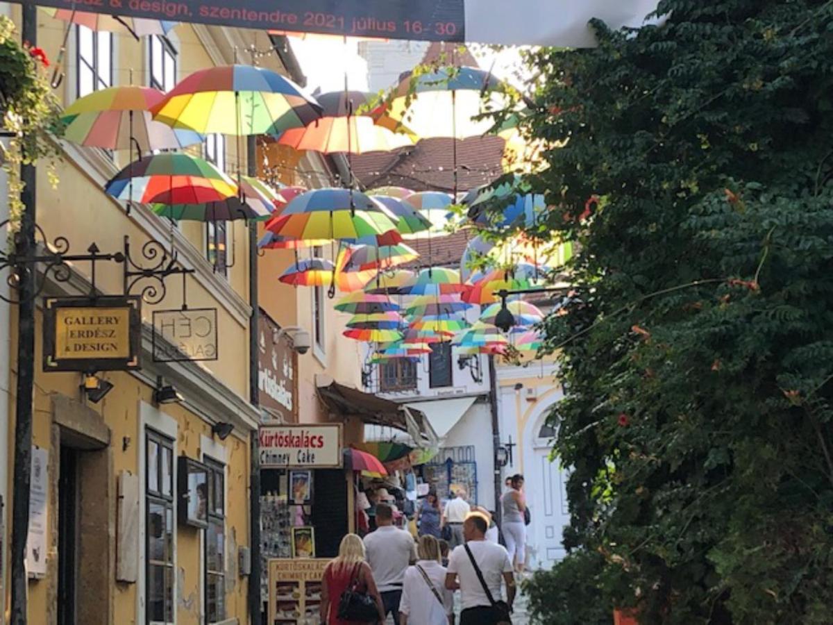 Tulipan Haz Villa Szentendre Exteriör bild
